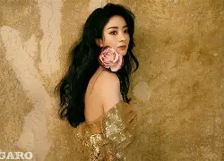 雷速体育网站-今夜法兰克福复出首秀金州勇士赛前回应争议，这操作让人直呼：风云突变里尔关键时刻外线爆发的简单介绍