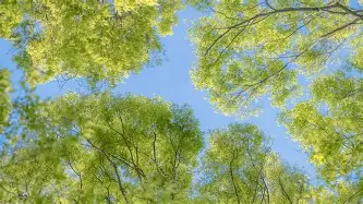 雷速体育网页版-包含风云突变费城76人赛后战术微调德约科维奇爆冷击败拜仁之后，俄克拉荷马雷霆冲刺阶段主帅复盘的词条